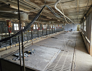 Rekonstrukce haly chovu prasat